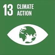 Evermos SDGs - Suistainable Development Goals - Climate Action
