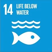 Evermos SDGs - Suistainable Development Goals - Life Below Water