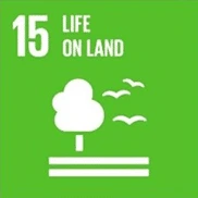 Evermos SDGs - Suistainable Development Goals - Life On Land