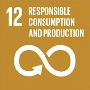 Evermos SDGs - Suistainable Development Goals - Responsible Consumption and Production